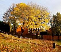 Old Station Park